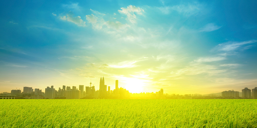 intuitive benefits management
